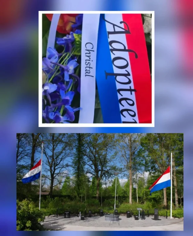 Foto 17 van Christal